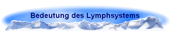 Bedeutung des Lymphsystems