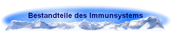 Bestandteile des Immunsystems