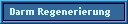 Darm Regenerierung