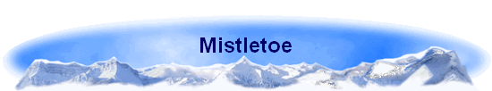 Mistletoe